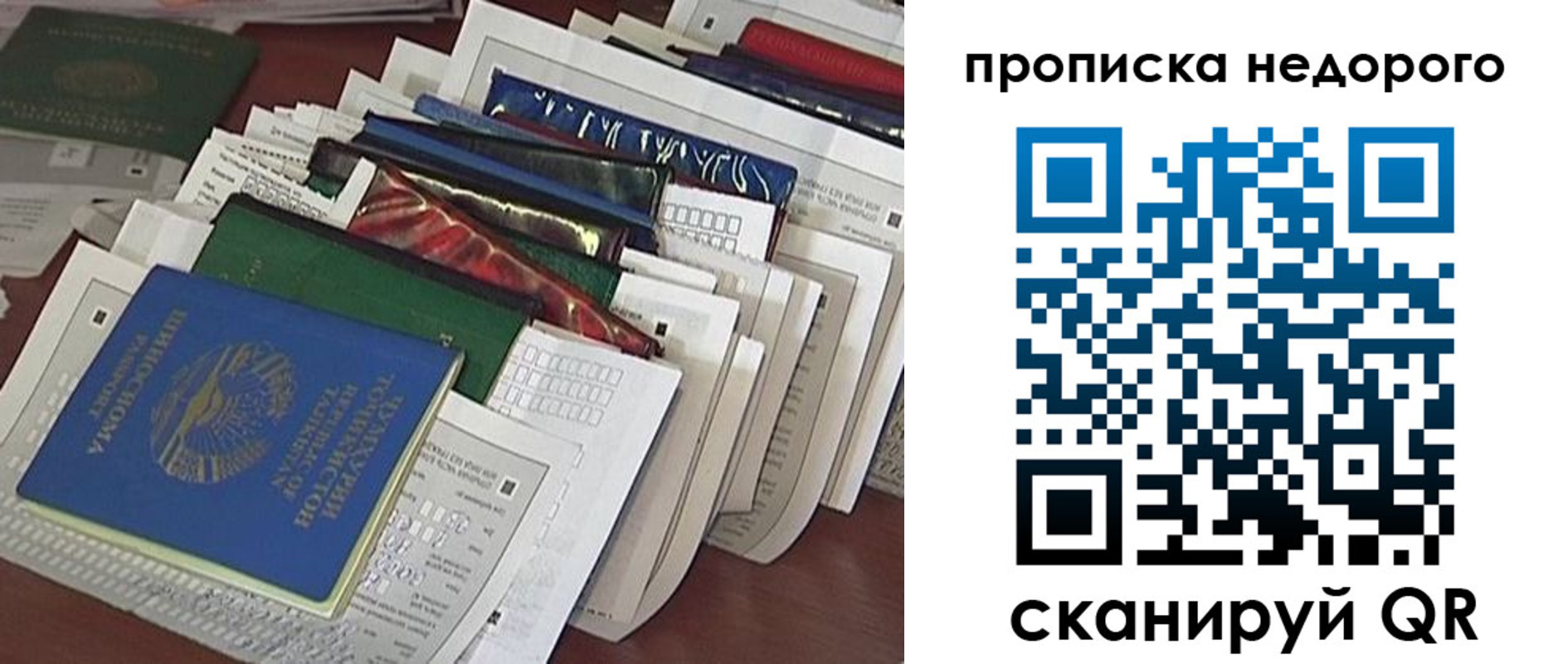 прописка гарантия в Райчихинске